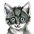 Dierenschetsen