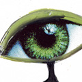 Oog